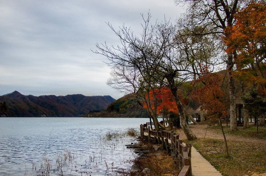 Discover Nami Island: A Scenic Escape in the Heart of Nature