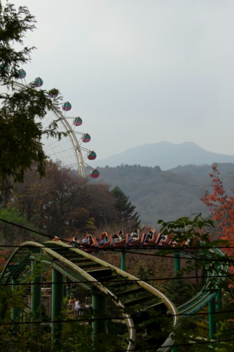 Experience the Magic of Everland: South Korea’s Largest Theme Park